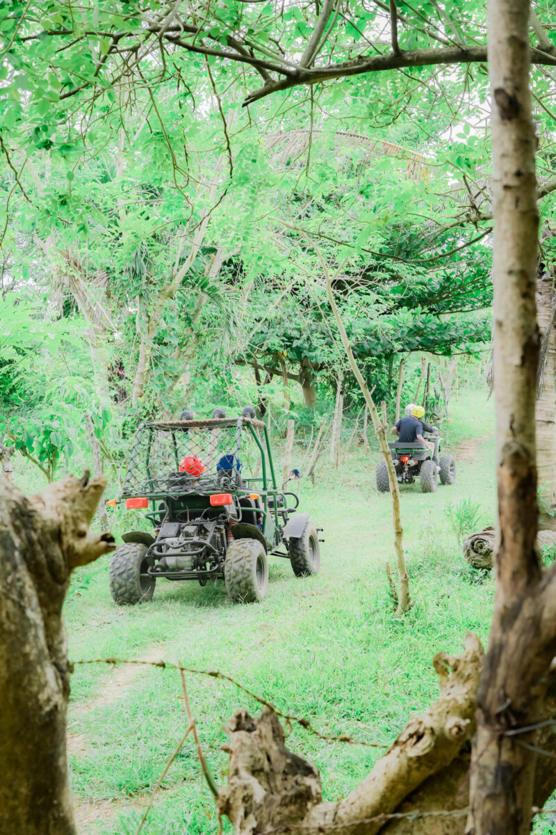 TGE Farm Resort grounds